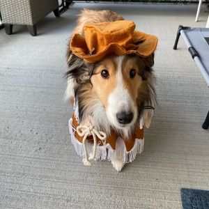 Cowgirl Pet Costume